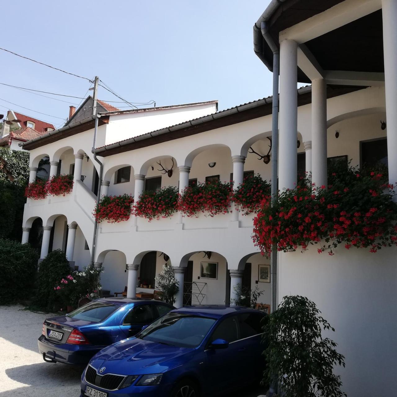 エゲル Eden Panzio Bed & Breakfast エクステリア 写真